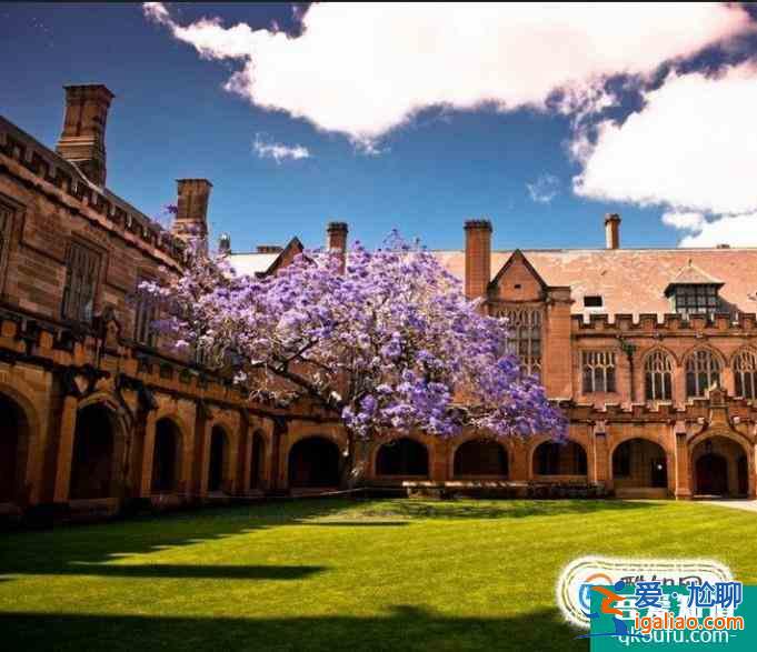 英國伯明翰大學運動與體育科學專業申請難度和課程設置解析？