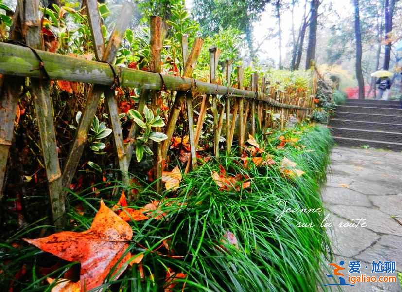 靈隱寺門票價格（學生票及優惠政策）？