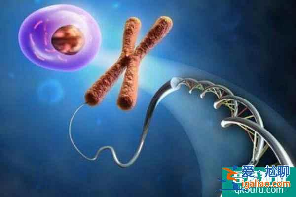 試管嬰兒：鮮胚移植和凍胚移植的優(yōu)劣分析？