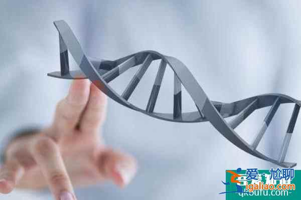 高齡女性赴美做試管累計(jì)周期,能提高成功率嗎?? 高齡女性赴美做試管累計(jì)周期,能提高成功率嗎??