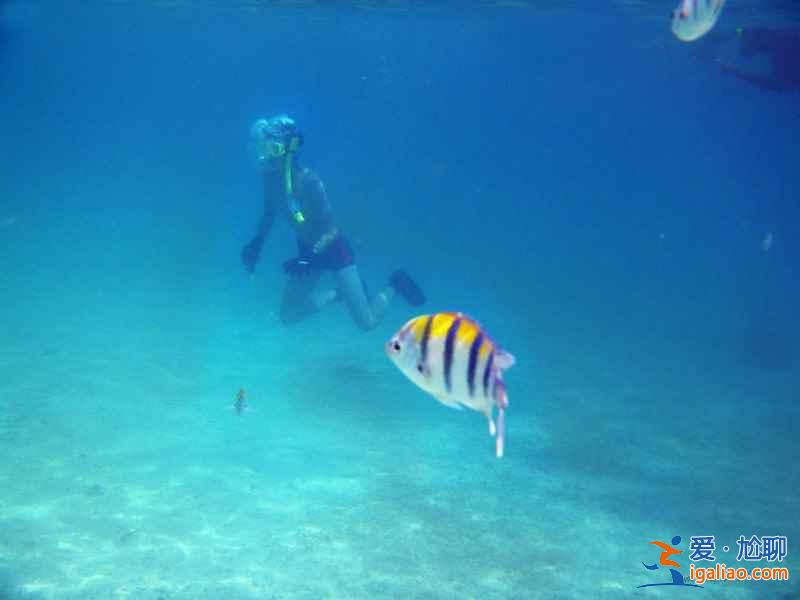 蘇梅島在泰國哪里,蘇梅島怎么去? 蘇梅島在泰國哪里,蘇梅島怎么去?