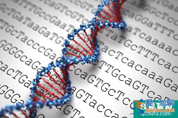 赴美試管嬰兒流程詳細分解，完善攻略推薦!？