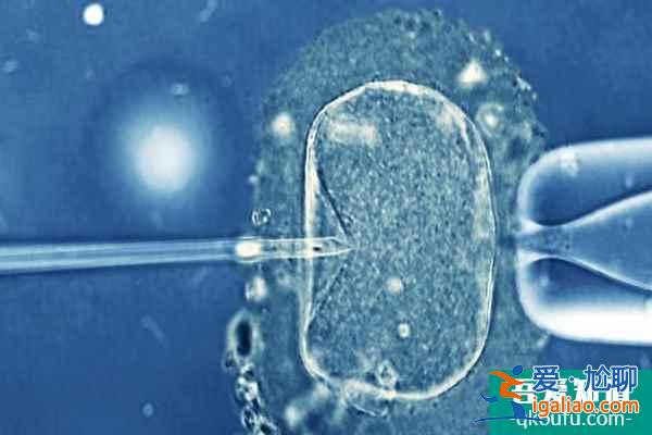 赴美做試管嬰兒可以生雙胞胎嗎?? 赴美做試管嬰兒可以生雙胞胎嗎??