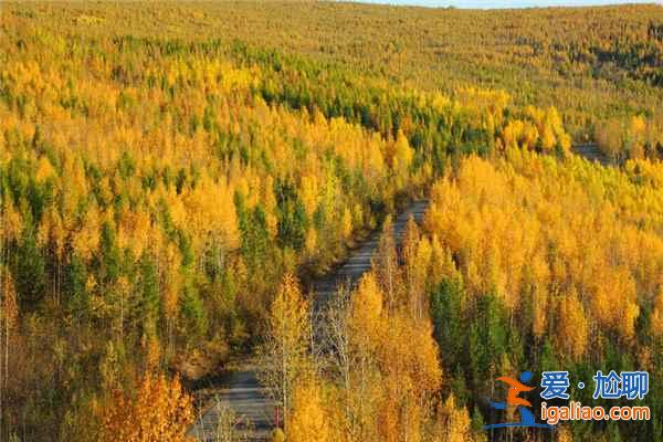 盤點(diǎn)國(guó)內(nèi)最美的10條公路 最美的風(fēng)景在路上？
