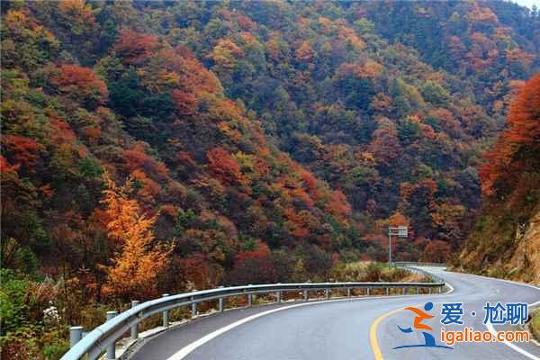盤點(diǎn)國(guó)內(nèi)最美的10條公路 最美的風(fēng)景在路上？