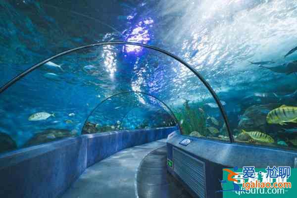 2021重慶圣誕節哪里好玩 附優惠活動詳情？