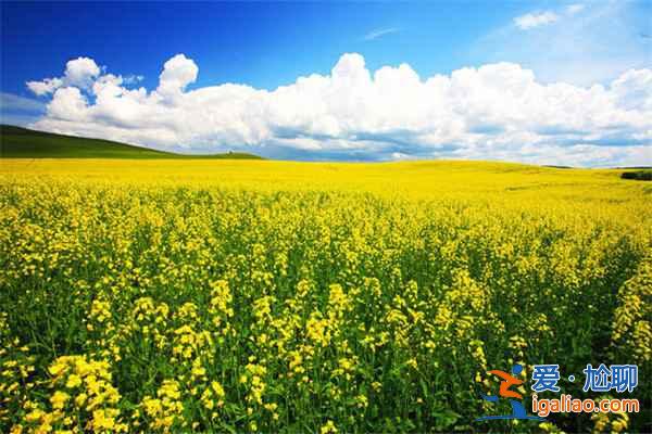 國內適合情侶避暑的地方：在最純凈的地方說“愛你”？