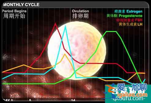 解析：去做試管嬰兒前需提前做的準備？