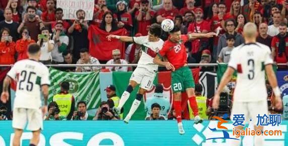 佩佩在手臂尺骨骨折 目前正在醫院檢查? 佩佩在手臂尺骨骨折 目前正在醫院檢查?