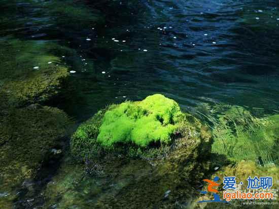 九月適合去哪里旅游,九月去哪里旅游好? 九月適合去哪里旅游,九月去哪里旅游好?