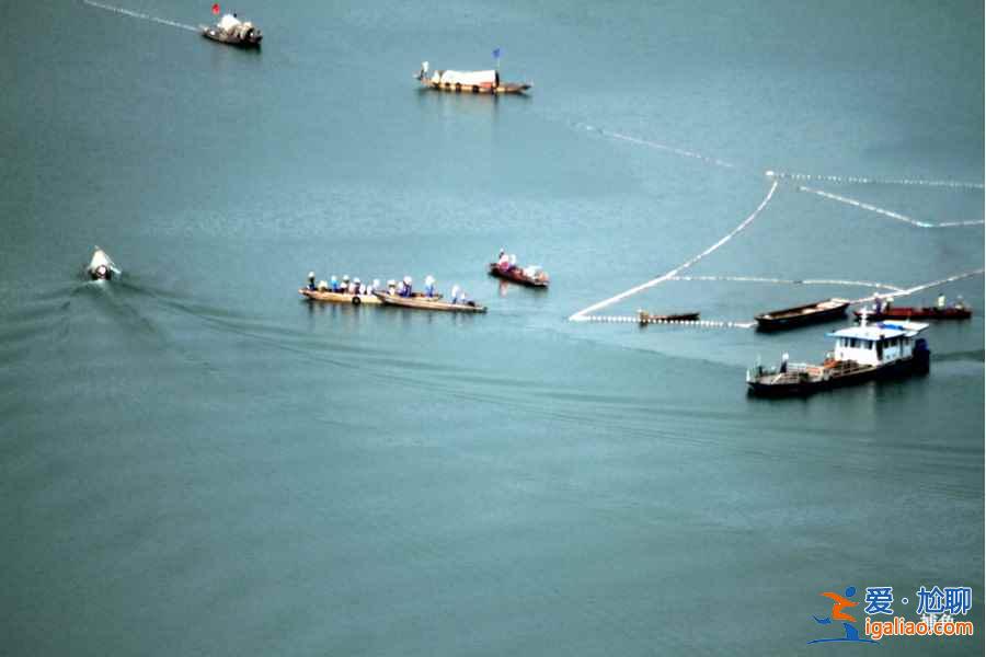 【杭州到千島湖】從杭州到千島湖怎么走，杭州到千島湖一日游？