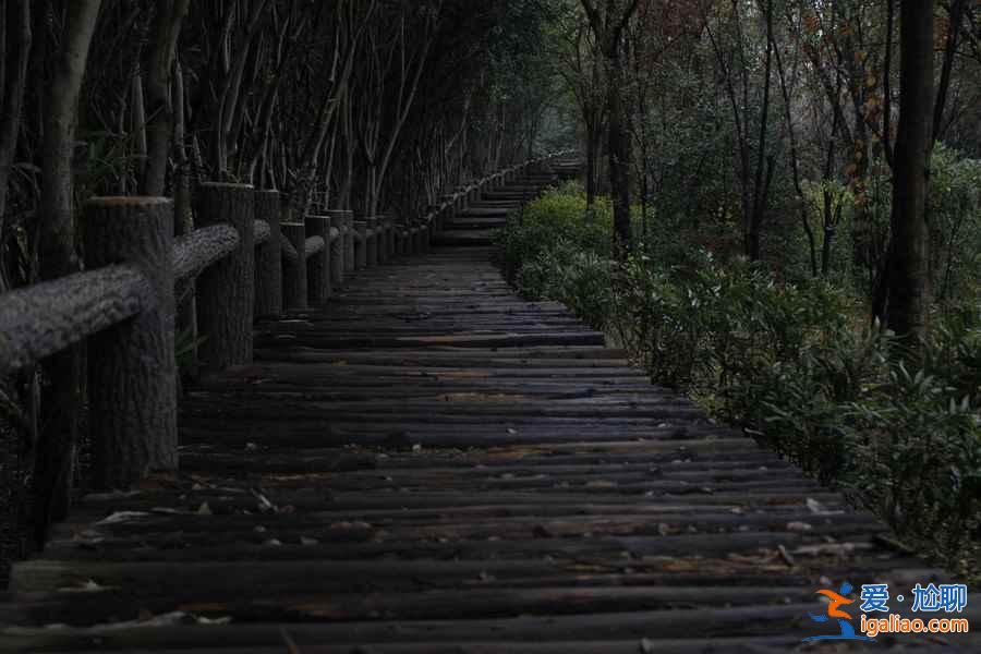 上海人少好玩的地方,上海人少的景點推薦? 上海人少好玩的地方,上海人少的景點推薦?