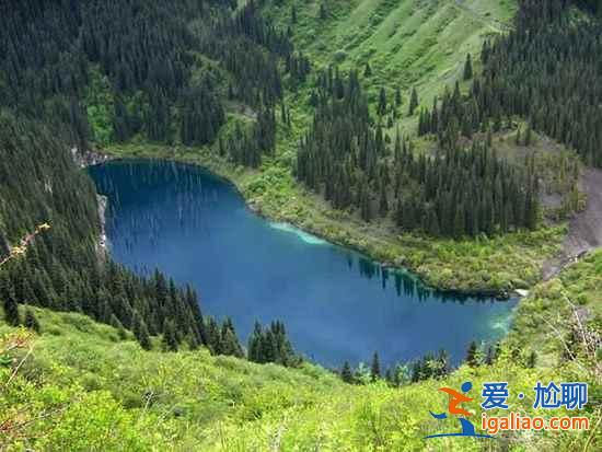 【卡因德湖美景】揭秘卡因德湖底森林奇觀？