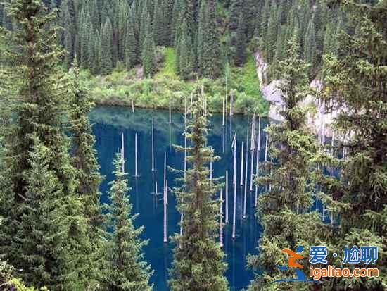 【卡因德湖美景】揭秘卡因德湖底森林奇觀？