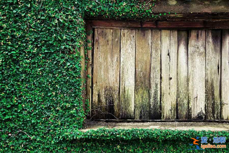 【情侶旅游】國內適合情侶旅游的地方,國內適合情侶旅游的地方有哪些? 【情侶旅游】國內適合情侶旅游的地方,國內適合情侶旅游的地方有哪些?