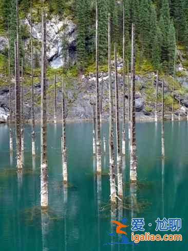 【卡因德湖美景】揭秘卡因德湖底森林奇觀？