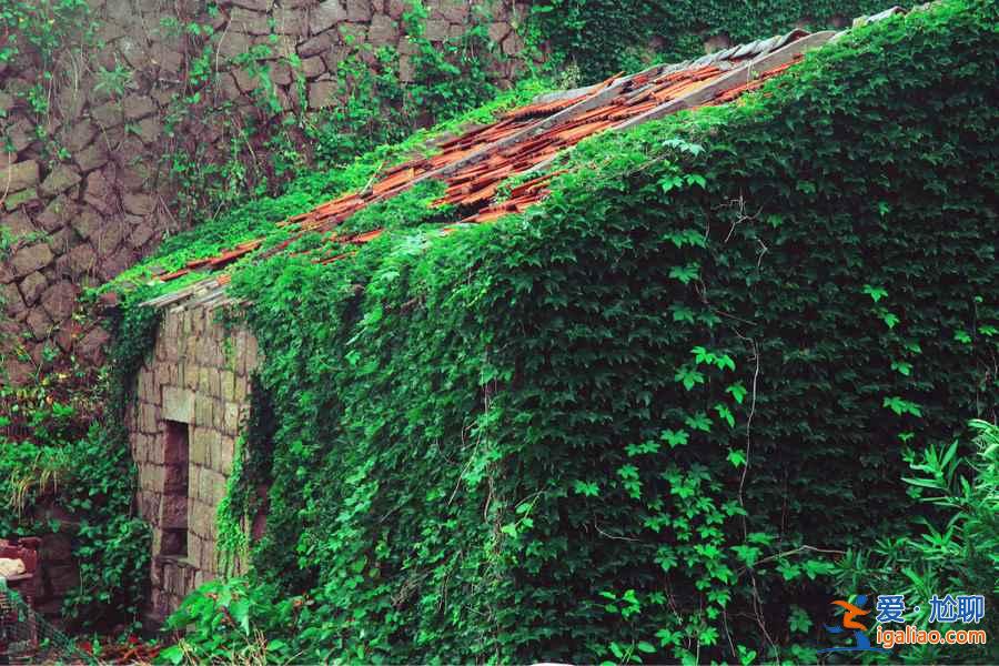 【東極島交通】怎么去東極島,東極島交通攻略? 【東極島交通】怎么去東極島,東極島交通攻略?