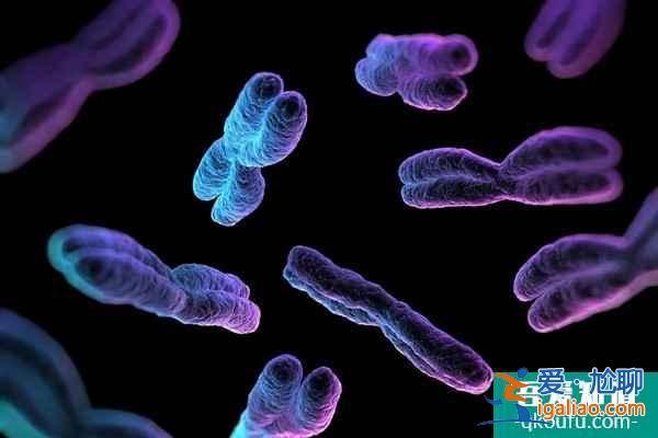 試管對孩子健康和智力有影響嗎?? 試管對孩子健康和智力有影響嗎??