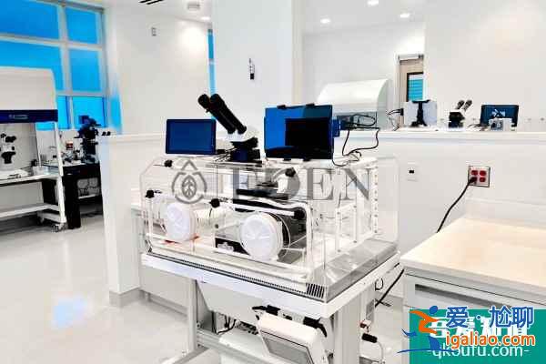 試管嬰兒“好孕”篇—“養(yǎng)囊”有道？