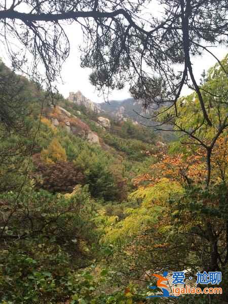 青島怎么去嶗山，從青島市區(qū)怎么去嶗山？