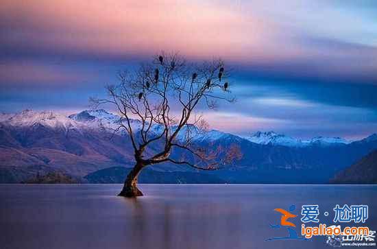 讓人驚艷的新西蘭湖泊大盤點? 讓人驚艷的新西蘭湖泊大盤點?