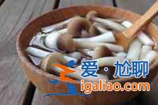 菌菇湯的做法？