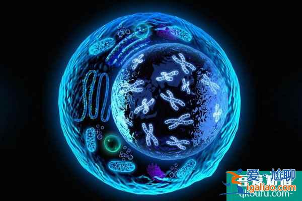 章子怡二胎生子兒女雙全令人羨慕，赴美試管您也行？