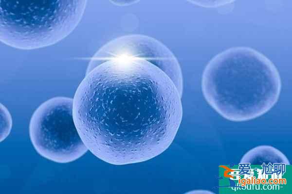 章子怡二胎生子兒女雙全令人羨慕，赴美試管您也行？