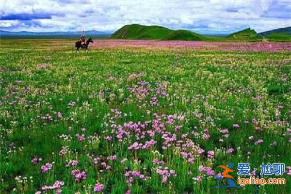 對的時間去對的地方 中國7月最美的地方？