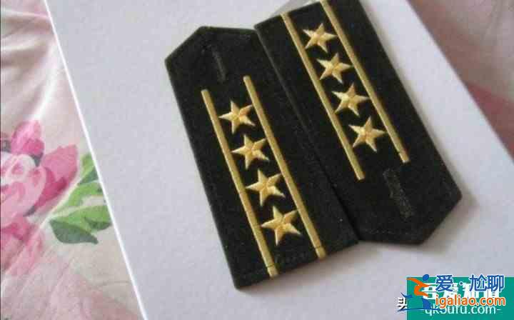 《藍軍出擊》中，山豹旅旅長、政委，誰的權力大？誰的級別高？？
