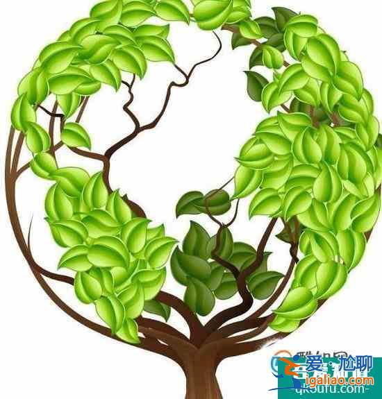 阿斯頓大學國際商務專業課程設置及入學要求解析? 阿斯頓大學國際商務專業課程設置及入學要求解析?