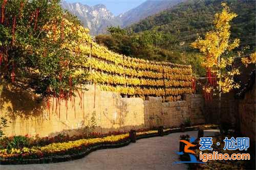 逃離人海  國內8個鮮為人知的純凈旅行地？