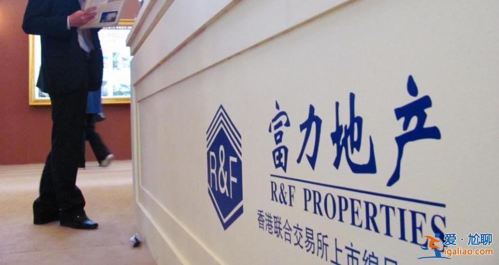 并無就董事張力保釋提供任何保證金？