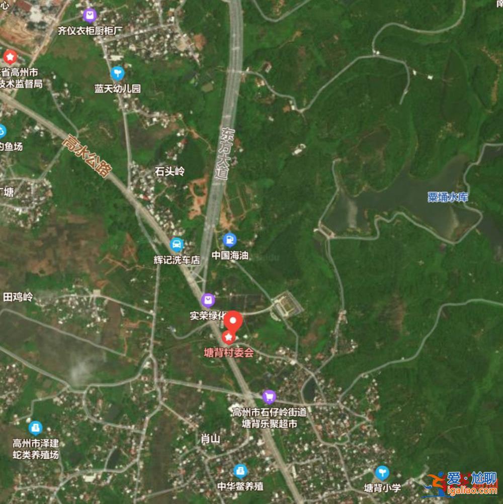 頭部有多處致命傷 車離兇手家三四公里？