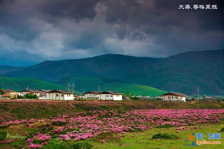 香格里拉好玩嗎，云南香格里拉最佳旅游時(shí)間？