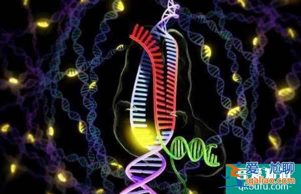 試管嬰兒助高齡失獨母親實現好孕優生？