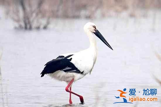 不自駕照樣玩的精彩 北京便捷避暑好地方? 不自駕照樣玩的精彩 北京便捷避暑好地方?