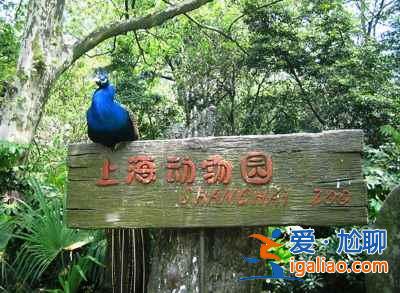 【中國哪里有螢火蟲】國內觀賞螢火蟲的那些地兒? 【中國哪里有螢火蟲】國內觀賞螢火蟲的那些地兒?