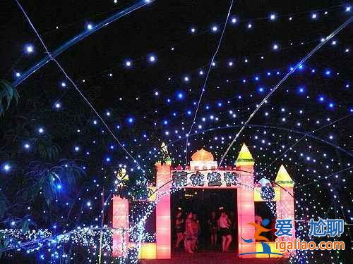 【中國哪里有螢火蟲】國內觀賞螢火蟲的那些地兒? 【中國哪里有螢火蟲】國內觀賞螢火蟲的那些地兒?