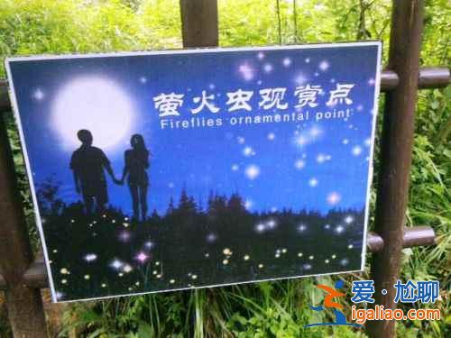 【中國哪里有螢火蟲】國內觀賞螢火蟲的那些地兒? 【中國哪里有螢火蟲】國內觀賞螢火蟲的那些地兒?