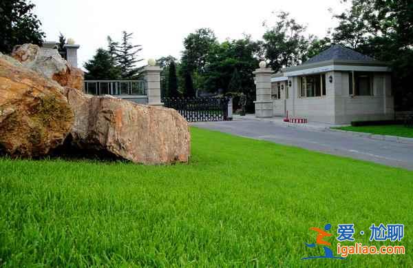 大連旅游必去景點，大連旅游必去地方？