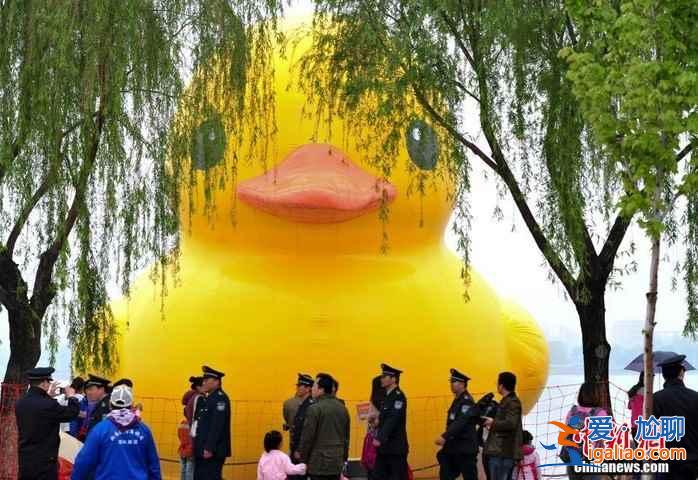 【濟南大黃鴨】大黃鴨光臨濟南長清湖？