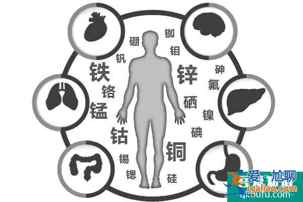 赴美試管嬰兒前如何增加卵子數量？？