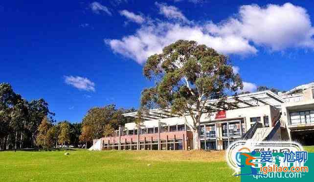 英國謝菲爾德大學院校規模及大學成就解析？