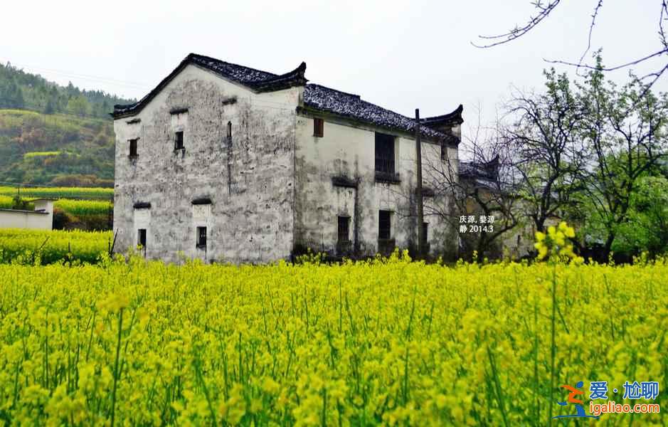 婺源在哪里，婺源在哪個省，婺源屬于哪兒？