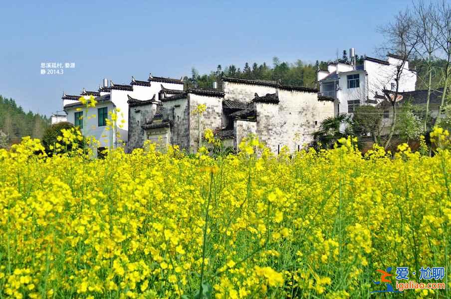 婺源在哪里，婺源在哪個省，婺源屬于哪兒？