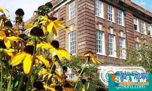塔斯馬尼亞大學職業會計專業和昆士蘭大學職業會計（商學）專業哪個好？？