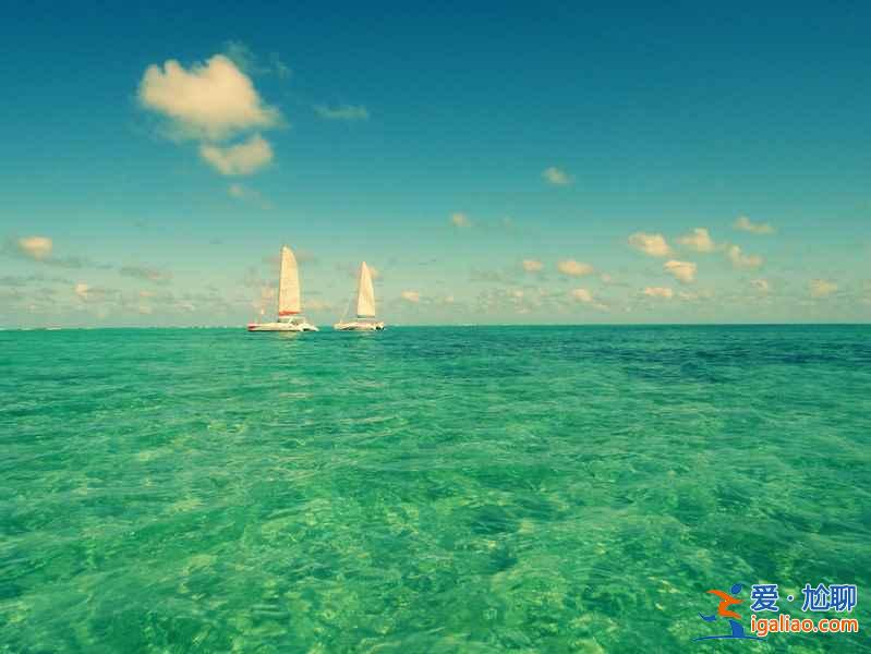 【毛里求斯有什么特產】毛里求斯特產有哪些,毛里求斯特產推薦? 【毛里求斯有什么特產】毛里求斯特產有哪些,毛里求斯特產推薦?