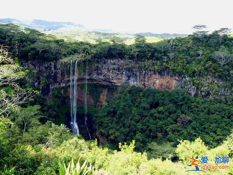 【毛里求斯有什么特產】毛里求斯特產有哪些,毛里求斯特產推薦? 【毛里求斯有什么特產】毛里求斯特產有哪些,毛里求斯特產推薦?