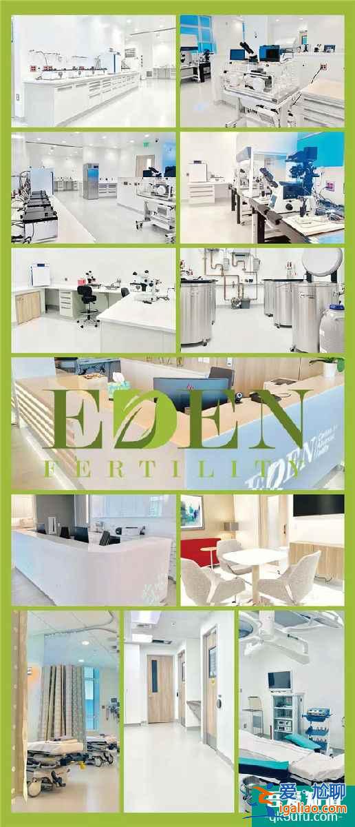 試管嬰兒醫院生命伊甸園EDEN？